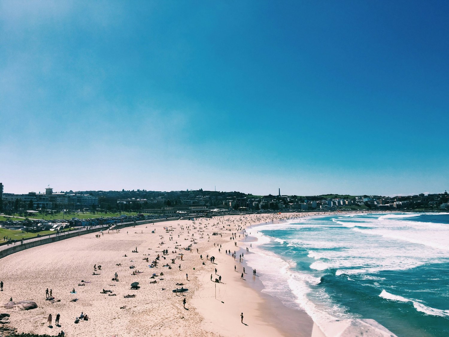 Bondi Beach and the coastal shoreline viewed from the headland.